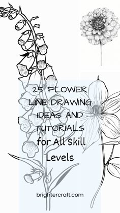 three different types of flowers with the words flower line drawing ideas and tips for all skill levels