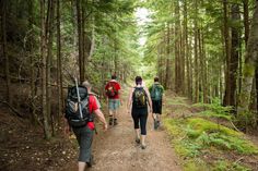 three people walking down a path in the woods with backpacks and packs on their backs