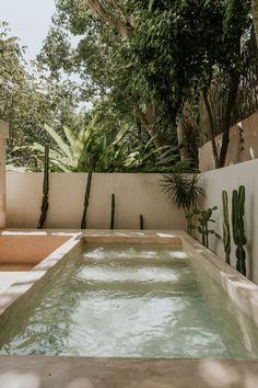 an outdoor swimming pool surrounded by greenery and concrete walls with trees in the background