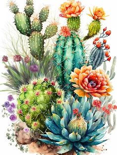 watercolor painting of cactus and succulents