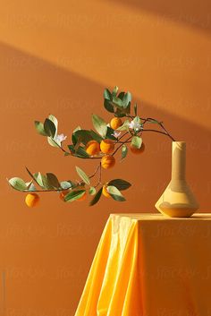 an orange tree branch in front of a vase with fruit hanging from it's branches