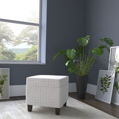 a living room filled with furniture and a plant in a vase on top of a rug