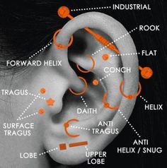 an ear is shown with different parts labeled in orange and black text, including the outer part of the ear