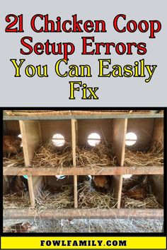 chicken coop setup errors you can easily fix cover image with text overlay that reads, 21 chicken coop setup errors you can easily fix