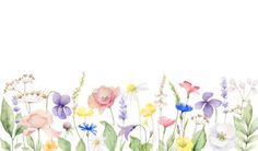 a watercolor painting of flowers on a white background