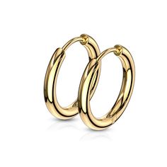 PRICES MAY VARY. STYLE: 2.5mm Thick Round Hinged Hoop Earrings MATERIAL: 316L Stainless Steel GAUGE/BAR THICKNESS: 20GA (0.8mm) HOOP DIAMETER: choose 10mm, 12mm, 14mm, 16mm, or 20mm SOLD AS A PAIR Cloth Jewelry, Jewelry Styling, Jewelry Clothes, Outfit Jewelry, Stainless Steel Hinges, Fashionable Jewelry, Making Earrings, Pretty Jewelry, Back Jewelry