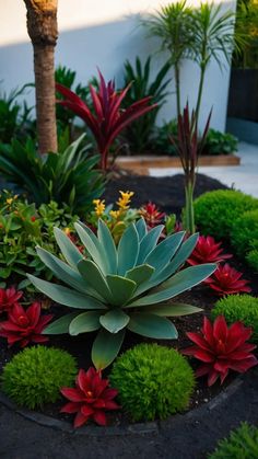 an assortment of plants and flowers in a garden