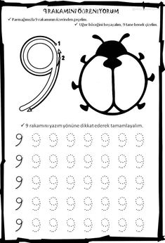 an insect worksheet with numbers to 10 and the number nine on it's side