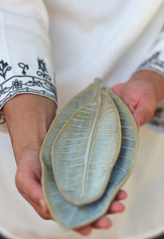 a close up of a person holding a plate with a leaf in it's palm