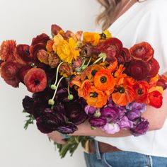 Wholesale Flowers Autumn Ranunculus Mixed Box Non Flower Bouquets, Ranunculus Centerpiece, Burgundy Ranunculus, Purple Ranunculus, Floral Spray Paint, Ranunculus Wedding Bouquet, Red Ranunculus, Bulk Flowers Online, Ranunculus Wedding