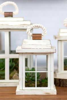 two white lanterns with rope handles and windows on top of a wooden table next to succulents