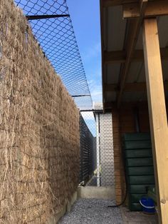 a fence that is next to a building with some grass growing on the side of it