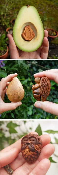 an avocado and some nuts are being held in their hands