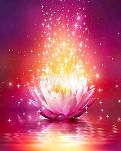 a pink lotus flower floating on top of water with stars in the sky above it