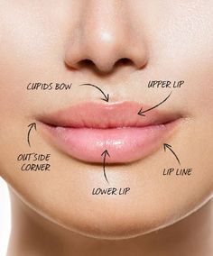 Lesson No. 8: Get Angelina Jolie's lips without injections, 10 Secrets I Learned at Makeup Artist School - (Page 9) Angelina Jolie Lips, Makeup School, Makeup Academy, Top Makeup Products, School Makeup, Lip Fillers, Beauty School, Professional Makeup Artist, How To Line Lips