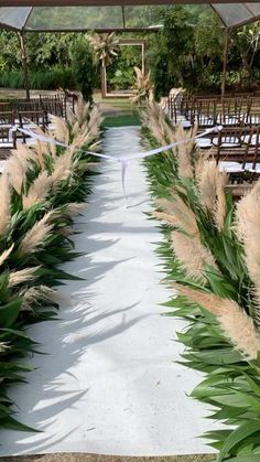 an outdoor wedding setup with chairs and white table cloths covered in pamodia