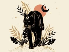 a black cat is walking through the grass with a full moon in the sky behind it