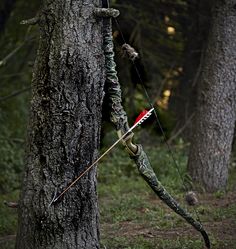 a bow and arrow stuck in the bark of a tree with arrows attached to it