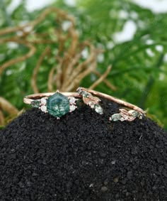 two rings on top of a rock with leaves in the background