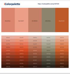 the color palette is shown in different shades