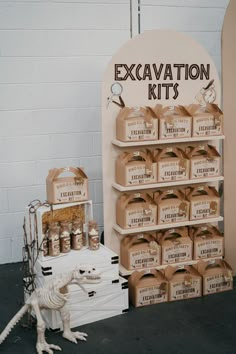 a display with boxes and a toy t - rex next to an excavation kit