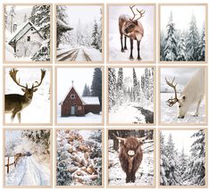 PRICES MAY VARY. What You Will Receive - The set includes 12 packs wall art prints, each art print measures 8 x 10inch, proper size is quite suitable for wall decoration or photo frames.(The wall art prints are UNFRAMED.) Winter Scenery - Our wall art prints are all scenery photos of forest, snow field, house, elk, etc., all are vivid and adorable, show a beautiful and unique winter scenery, they will fit perfectly and can become a part of an elegant Interior, create a winter and Christmas atmos Cozy Christmas Room, Room Decor Scandinavian, Scandinavian Poster, Scandinavian Christmas Decorations, Holiday Room, Snow Forest, Winter Wall Art, Christmas Room Decor, Nordic Decor