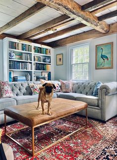 a pug dog standing on top of a ottoman in a living room filled with furniture