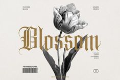 a close up of a flower with the word blossom in gold on it's side