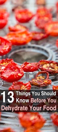 tomatoes on a grill with the words 13 things you should know before you dehydraate your food