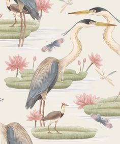 a wallpaper with birds and water lilies in the pond, on a white background