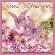 a greeting card with two purple butterflies on it and flowers in the background that says, good afternoon god bless you