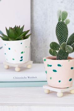 two small potted plants sitting next to each other on top of a white table