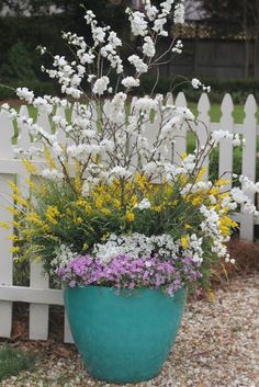 a blue pot filled with lots of flowers next to a white picket fence on gravel