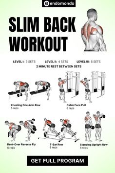 the back workout poster shows how to do an exercise with dumbs and pull ups