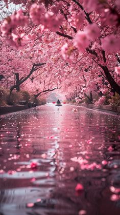 the water is full of pink flowers and trees