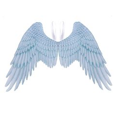 PRICES MAY VARY. Material:Non-woven fabric,it's not a real feather,the wings are not pure white with some blue. Wings containing iron wire which can be folded in half. Product size: wing shoulder width 45cm, wing height 75cm, wing tail width 105cm,Product weight: 233g.Due to the large size of the product, folding packaging is required,so the wing tail will have creases,can be ironed before use The wings pattern is printed,not a real feather. Angel wings make you different at the party 
Two elast 3d Angel Wings, Angel Wings, Angel, Halloween, Blue, White, Black