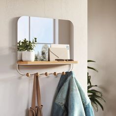 there is a mirror and coat rack on the wall next to a potted plant