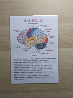 a piece of paper with a diagram of the human brain on it