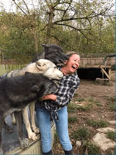 a woman holding two dogs on top of a wooden fence in front of some trees