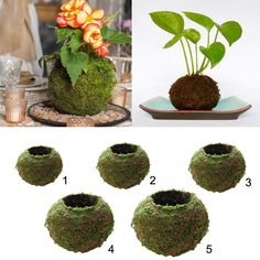 Cheap Flower Pots, Green Flower Pots, Bonsai Flower, Creative Gardening, House Plants Decor, Silk Flower Arrangements