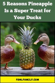 5 Reasons Pineapple Is a Super Treat for Your Ducks Pineapple Benefits, Tropical Fruit, Pina Colada, Nutrition Facts, The Truth, Homemade Recipes, Health Benefits