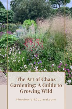 art of chaos gardening guide to growing wild gardens Chaos Vegetable Gardening, Natural Wild Garden, Chaos Flower Garden, Wildflower Seeds Planting, Chaos Gardening Flowers, Chaotic Gardening, Wild Garden Landscaping, Meadow Landscaping, Wildflower Garden Ideas