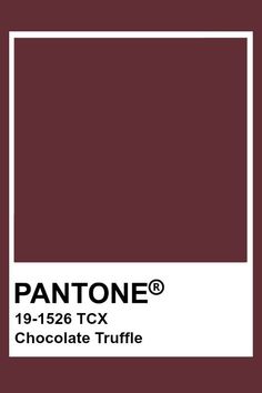 pantone's chocolate truffle