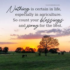 horses graze in a field with the sun setting behind them and an inspirational quote