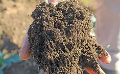 a person holding a pile of dirt in their hands