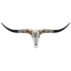 an animal skull with long horns on a white background