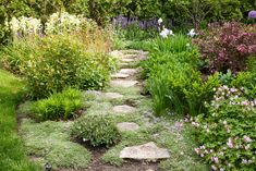 a garden filled with lots of different types of flowers