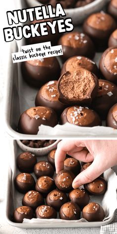 chocolate covered nutella buckeyes in a baking pan with text overlay that says nutella buckeyes