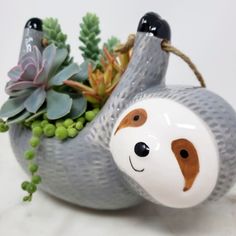 a ceramic slotty planter with succulents in it's mouth