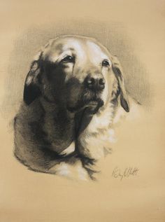 a black and white drawing of a dog with his head turned to the side, looking up